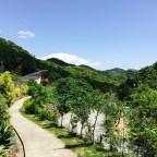 Shimoda – Day 2: Kannon Onsen