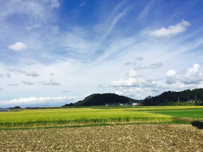 9914CC56-9671-48B2-A2CD-90A1DE236EA9