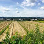 Batou Onsen – Mahoroba no yu