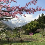 Yuterume Tanigawa Onsen