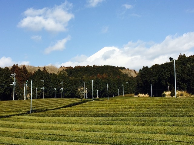 2F126ABC-46FC-4AC1-AB20-9BB46DD9B977